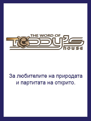 Teddy`s house